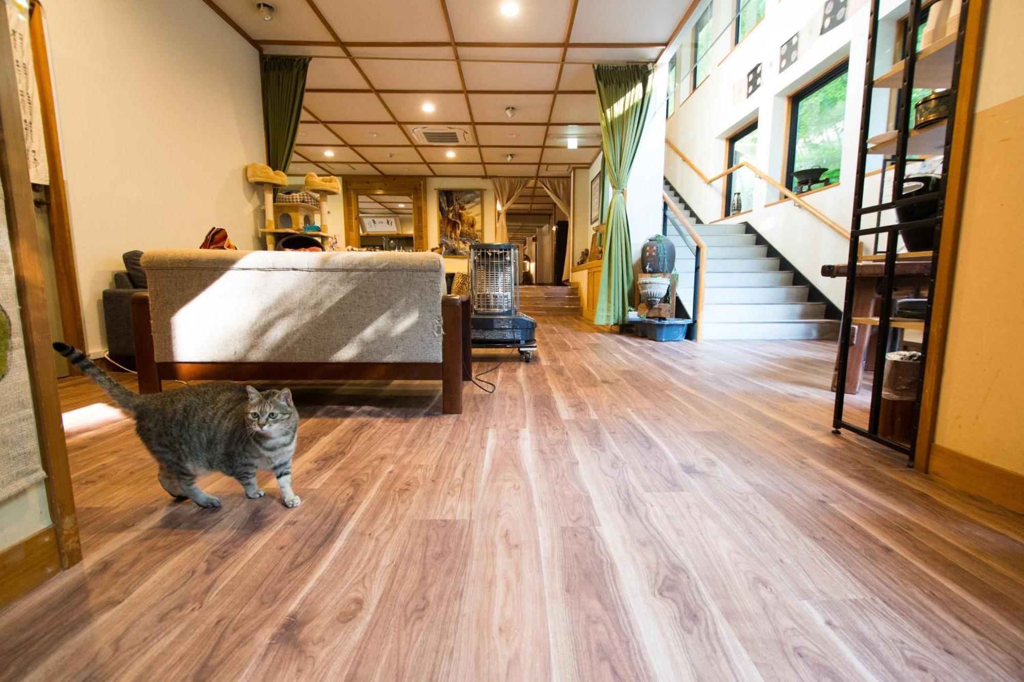 Akasawa Onsen Ryokan Nasushiobara Luaran gambar